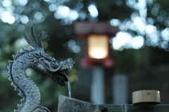ミノルタNewMD50mm f/1.2　＠Ｆ２