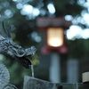 ミノルタNewMD50mm f/1.2　＠Ｆ２