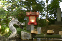 びっくり良く写る　ニッコールAi35-70mm F3.5s　70mm側開放