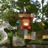 びっくり良く写る　ニッコールAi35-70mm F3.5s　70mm側開放