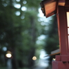 オリンパスOM G.ZUIKO AUTO-S 55mm f1.2