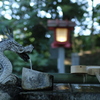 CONTAX ZEISS 35mmF1.4MMJ  @F/2