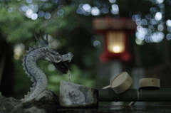 でました　SMC-P  A 50mm F1.2  絞ってません
