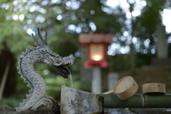 マイクロニッコールAi  AF55mm F2.8s  