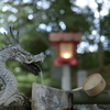 マイクロニッコールAi  AF55mm F2.8s  