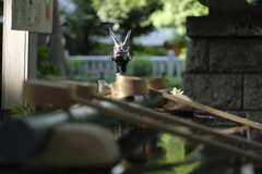 ごめんなさい　その２。。ミノルタMD45mm F2 開放
