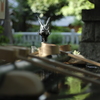 ごめんなさい　その２。。ミノルタMD45mm F2 開放