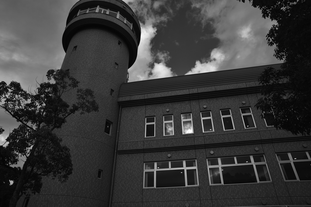 アクロス＋Ｒフイルタ　硬調印画4号風押し気味