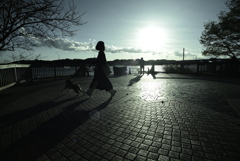 ニッコール　UDオート20ｍｍF3.5　銀残し