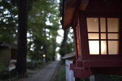 ニッコールAi AF 28mm F1.4D  案外よい写り
