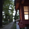 ニッコールAi AF 28mm F1.4D  案外よい写り