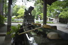 ニッコールAi24mm F2s  ヘロヘロ