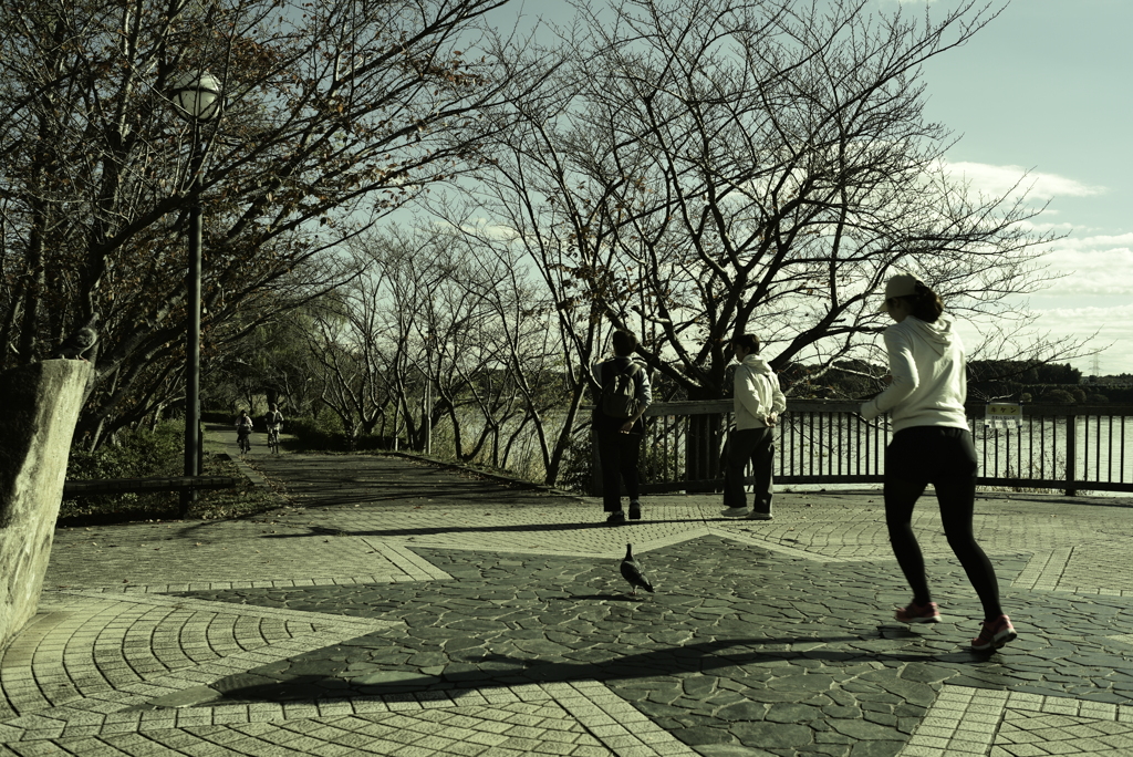 オートニッコール35mmF1.4（Ai改）で銀残し