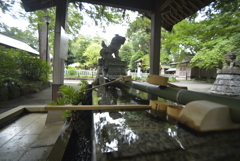 トキナー AF AT-X 17mm f/3.5 Asph.開放その２
