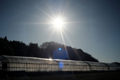 今年もお願いします。。