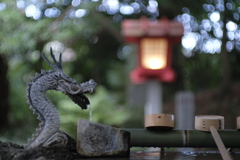 よく写る　キヤノンＬ39マウント50mm F1.4  開放でね。