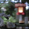 よく写る　キヤノンＬ39マウント50mm F1.4  開放でね。