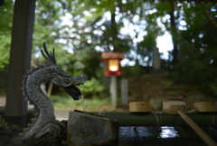 よく写る　ニッコールAi28mm Ｆ2s   開放