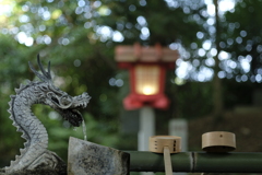 CONTAX G プラナ45ｍｍＦ2　開放