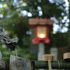 CONTAX G プラナ45ｍｍＦ2　開放