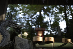 ニッコールAi35mmF2.8s  開放