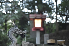 タムロン70-150mm F/3.5アダプトール２ @70mm  