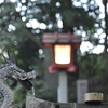 タムロン70-150mm F/3.5アダプトール２ @70mm  