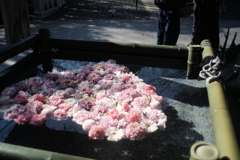 年の瀬支度中・・