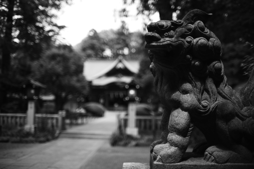 オートニッコール35ｍｍF1.4(Ai改)