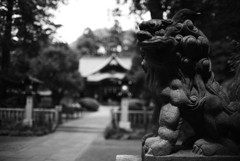 オートニッコール35ｍｍF1.4(Ai改)