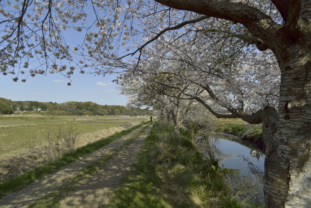 タムロンSP AF20-40mm F/2.7-3.5 Aspherical IF
