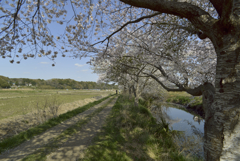 タムロンSP AF20-40mm F/2.7-3.5 Aspherical IF