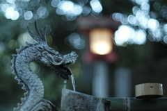ミノルタNewMD50mm f/1.2  開放で