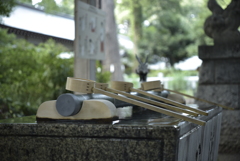 Micro Nikkor Auto 55mm F3.5(Ai改)開放