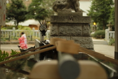 黄色いレンズで開放で前玉凹タイプ