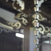 ニッコールSオート50mmF1.4 (Ai改）開放なら