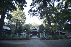 SP AF20-40mm F/2.7-3.5  IF 　20mm側