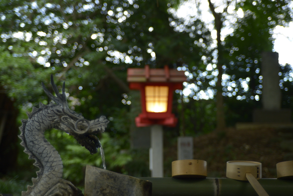 クセボケですね。タムロンSP28-80mm F3.5-4.2 アダプトール2