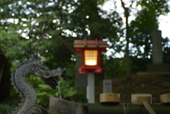 クセボケですね。タムロンSP28-80mm F3.5-4.2 アダプトール2