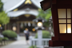 キレルね。ニッコールAi105mm f2.5s