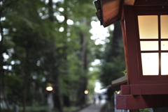 その２タムロン70-150mm F/3.5アダプトール２ @70mm