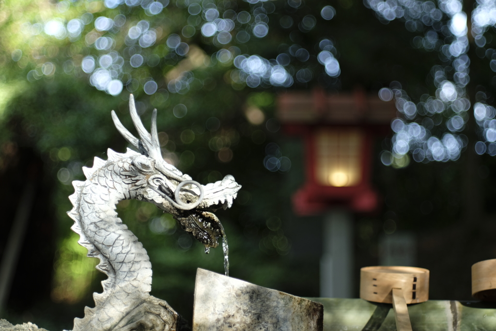 ごめんなさい。。ミノルタMD45mm F2 開放