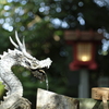 ごめんなさい。。ミノルタMD45mm F2 開放