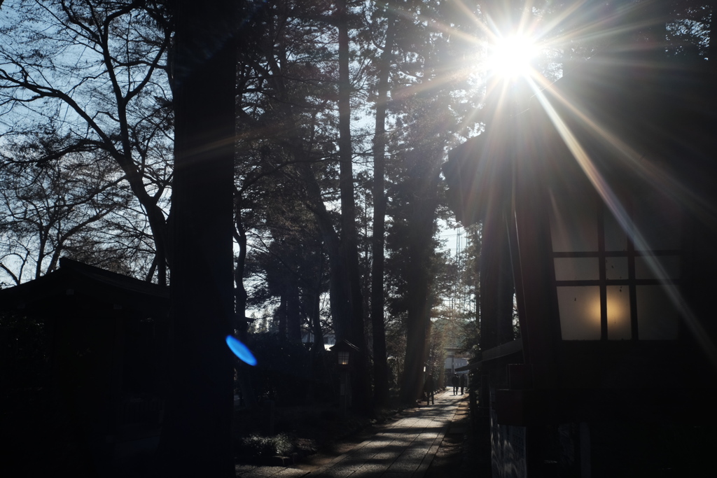 光が写るレンズ