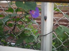PB181795