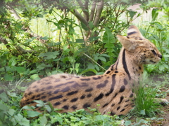 P5057413