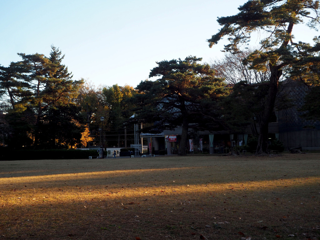夕暮れ