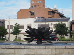 P9161386