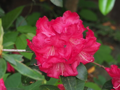 P5057557