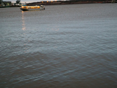 P2253505